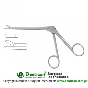 Love-Gruenwald Leminectomy Rongeur Straight Stainless Steel, 20 cm - 8" Bite Size 3 x 10 mm 